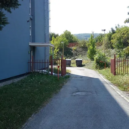 Institut