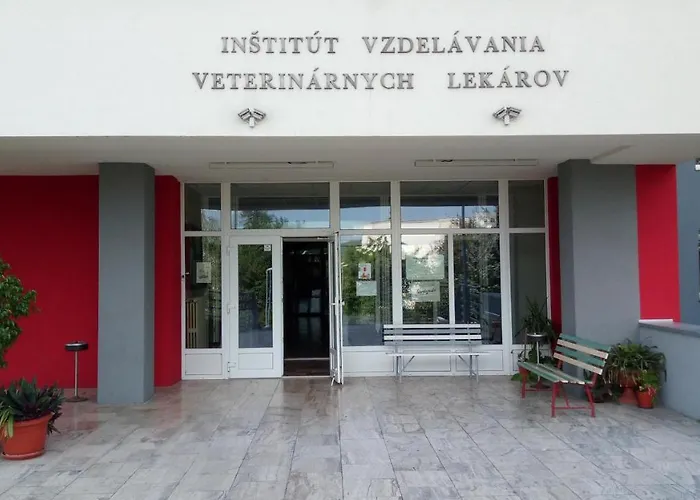 Institut